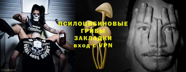 мет Няндома