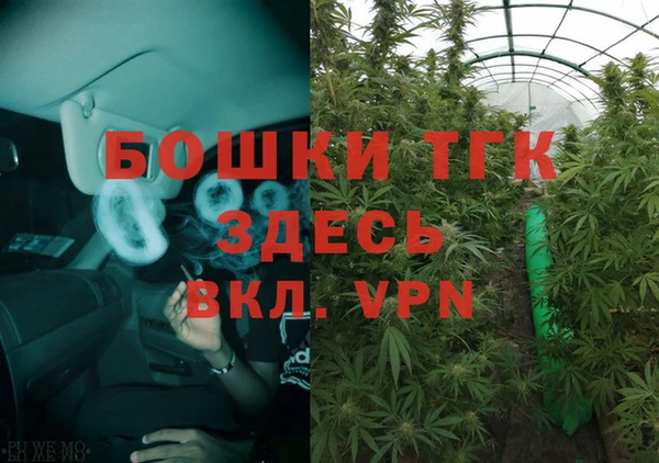 2c-b Новозыбков