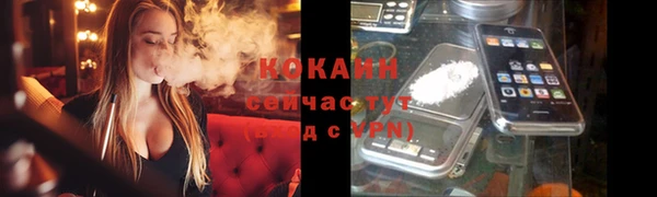 индика Воткинск