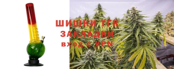мет Няндома