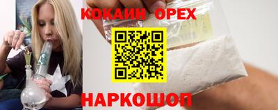 гашик Донской