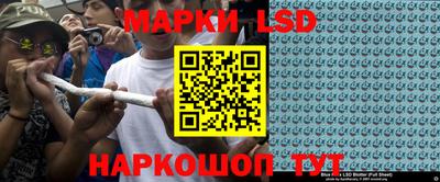 гашик Донской