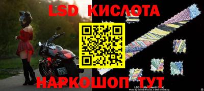 гашик Донской