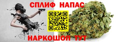гашик Донской