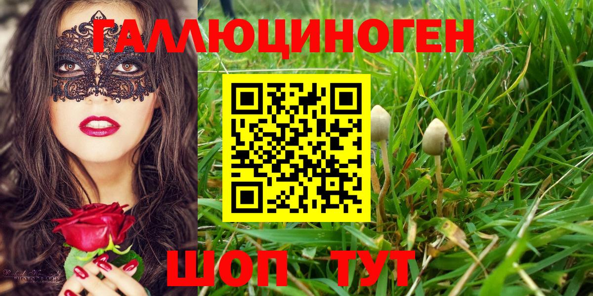 Псилоцибиновые грибы прущие грибы  продажа наркотиков  Арсеньев  Вход с VPN 