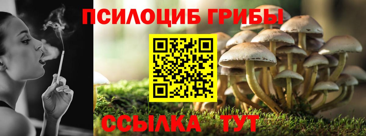 Псилоцибиновые грибы GOLDEN TEACHER Арсеньев