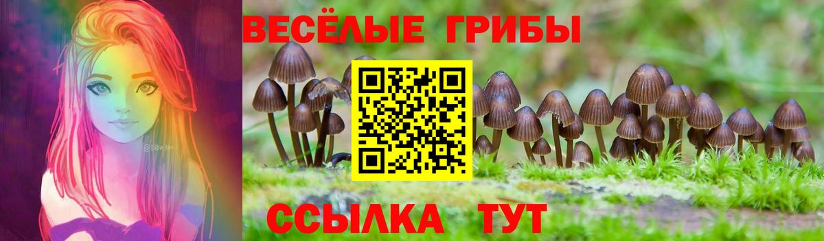 Псилоцибиновые грибы Magic Shrooms  Псилоцибиновые грибы Magic Shrooms  Арсеньев 